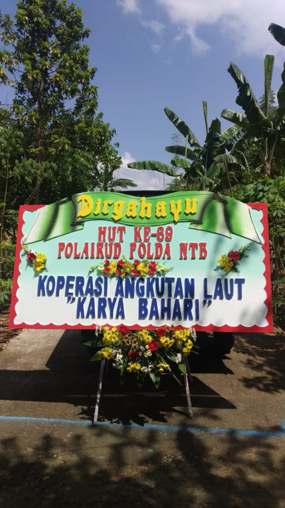 Bunga Papan - Lombok - 148