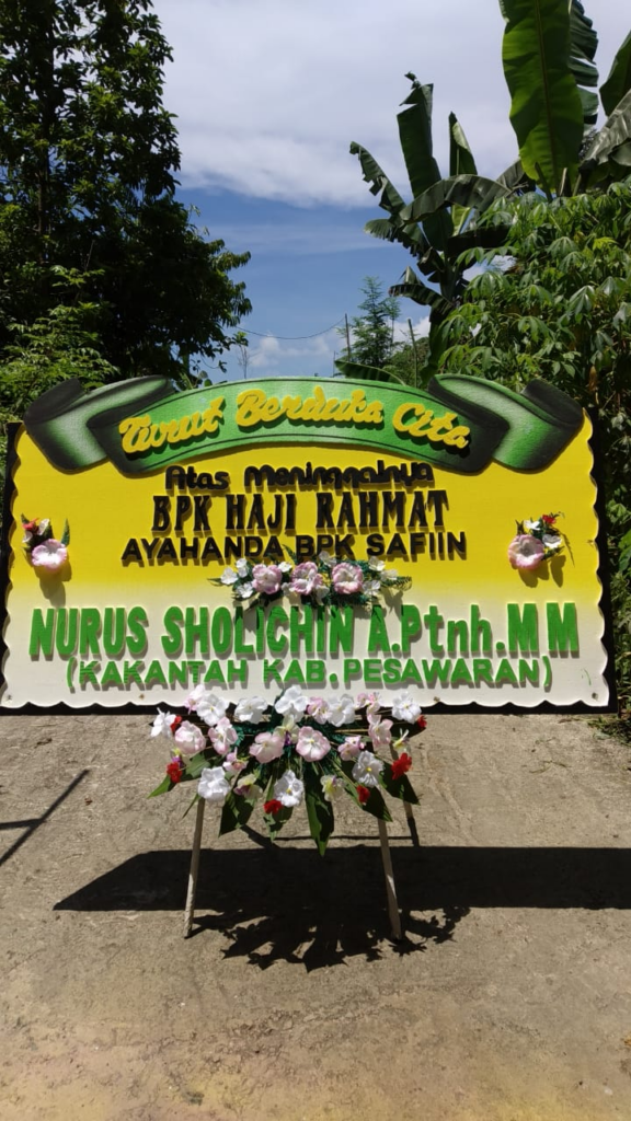 Bunga Papan - Lombok - 695