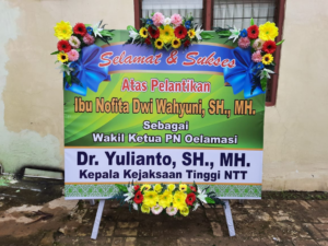 Bunga Papan - Kupang - 800