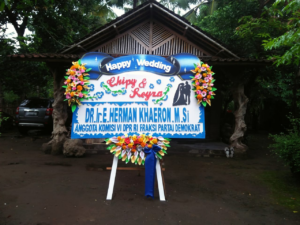 Bunga Papan - Lombok - -86