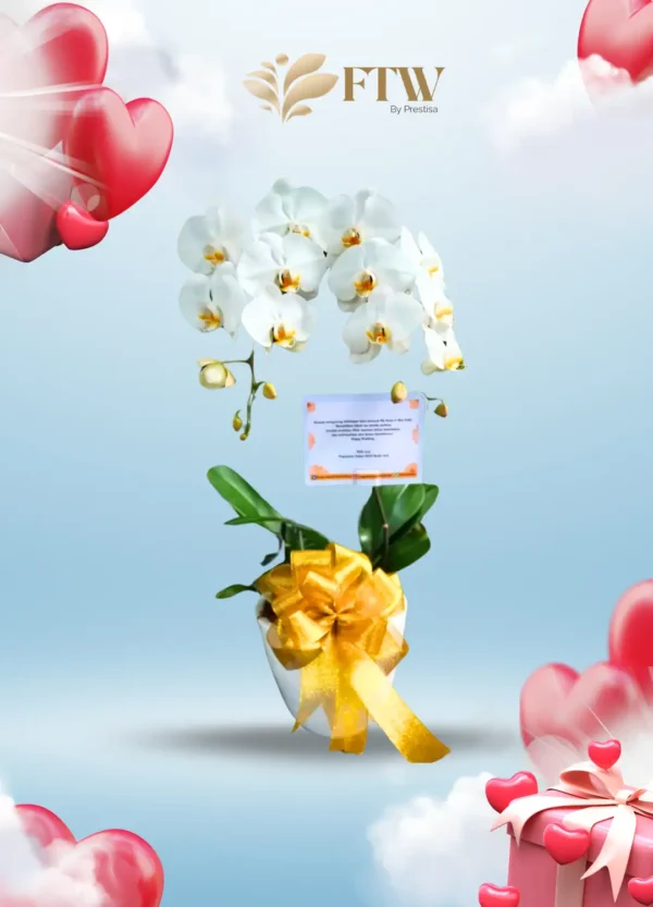 Bunga Meja - Valentine - Indonesia - 002