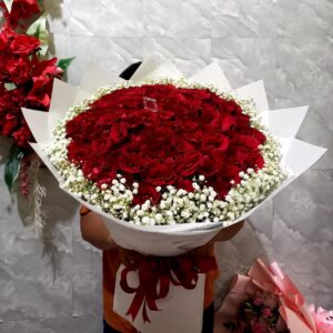 Red Rose Classic - 001