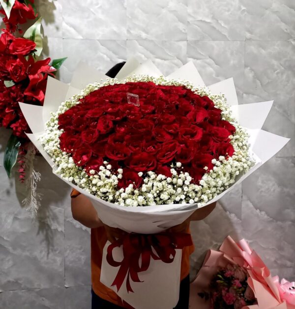 Red Rose Classic - 001